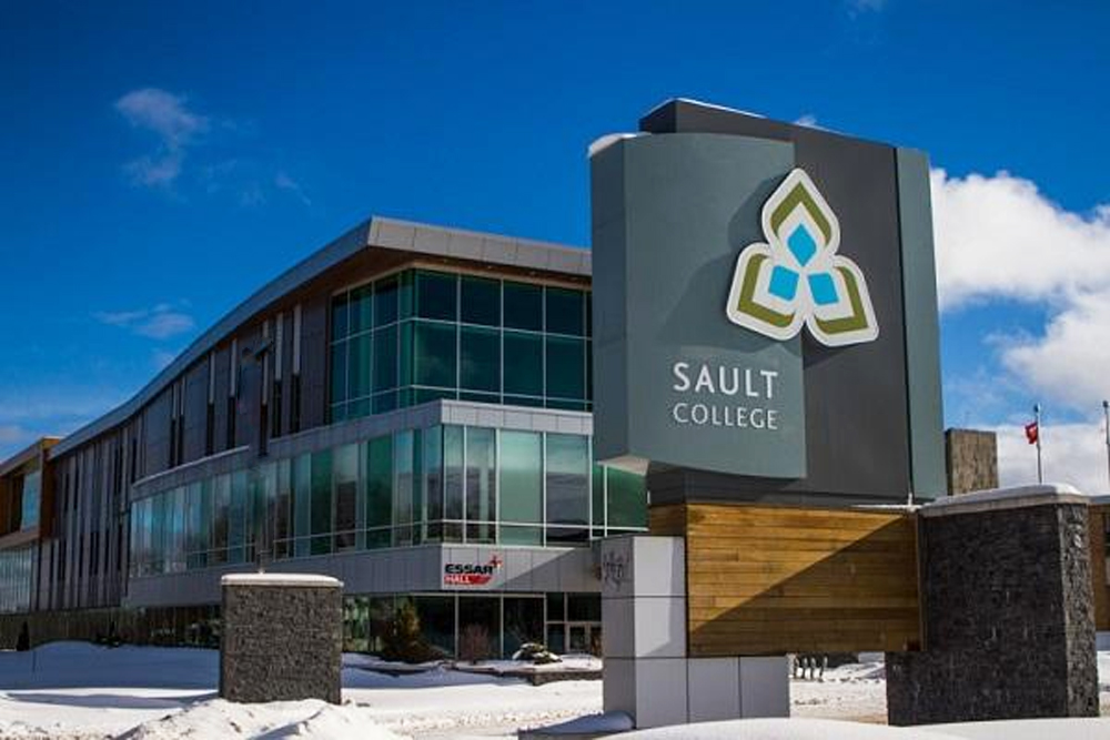 Why Health Care Leadership – in Sault college Canadian Context (5985)